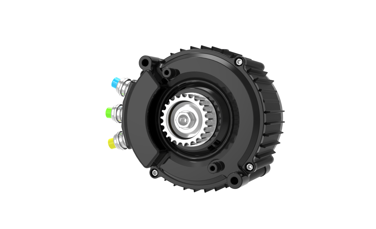 Ventus Ryuga 81kW motor — wiring harness and connector detail