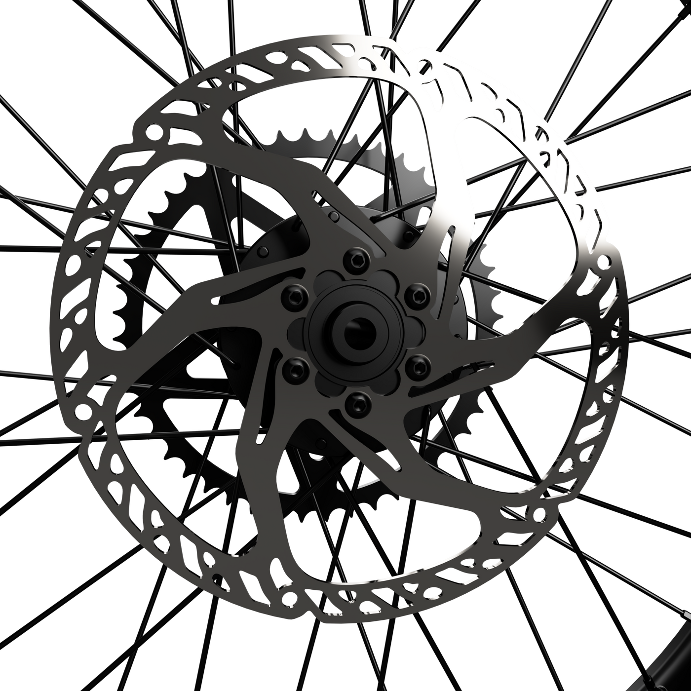 220mm Fixed Rotor Talaria