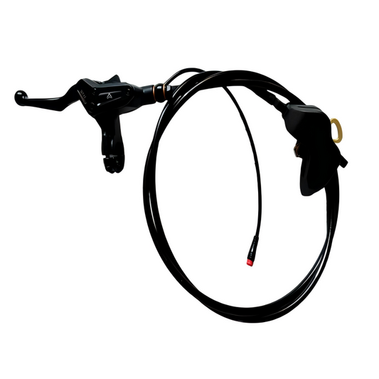 Brake Assembly