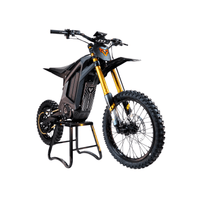 Arctic Leopard XF electric dirt bike — product view