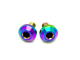 Titanium Chain Guard Bolts (Set of Two) Surron, Segway, Rerode