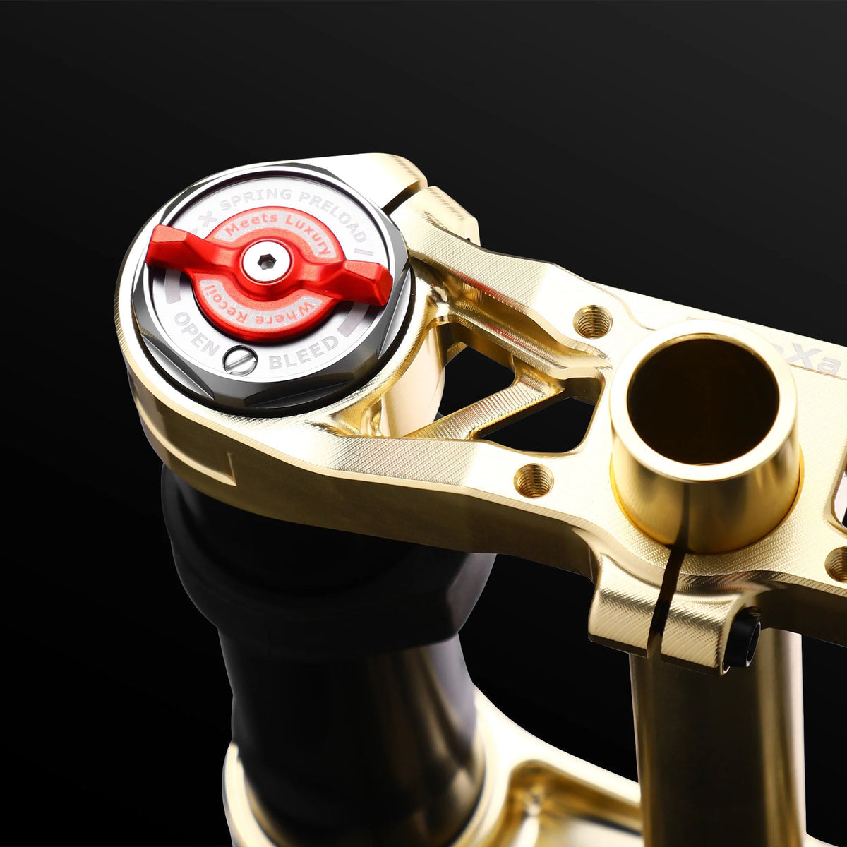 RFloXa Hawk31 Max gold fork for Surron LBX — installed on bike view