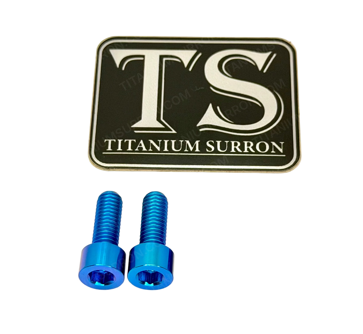 Titanium Controller Mount Bolts for E-moto