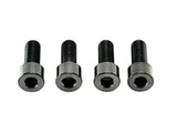 Titanium Seat/ Subframe Bolts for E-moto