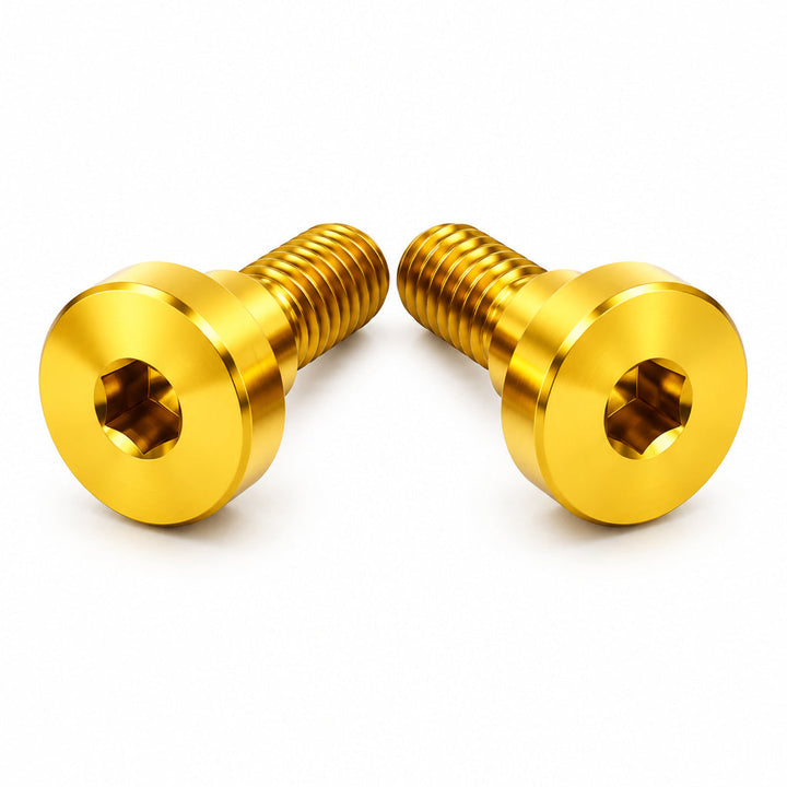 Titanium Battery Lid Bolts - E-Ride Pro -  (Two Pcs)