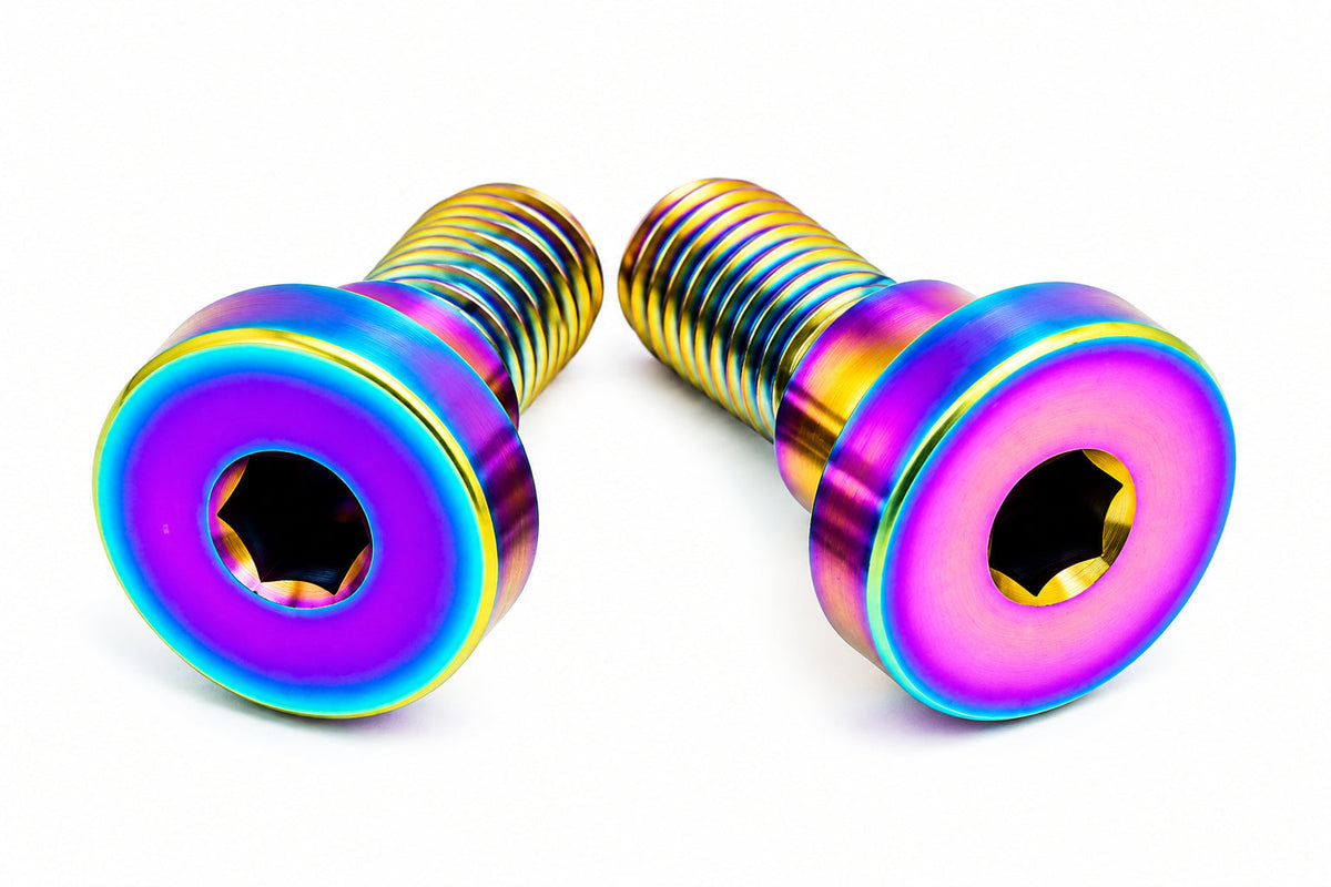Titanium Battery Lid Bolts - E-Ride Pro -  (Two Pcs)