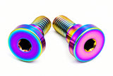 Titanium Battery Lid Bolts - E-Ride Pro -  (Two Pcs)