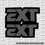 EXT Fork Tube Decal