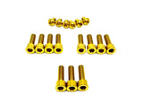 Titanium Bolt Kit for E-Ride Pro SR and Pro SS 3.0 Factory FastAce Fork (ALX32RC)