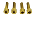 Titanium Caliper Bolt Kit (20mm Bolts)