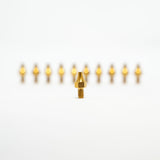 Titanium Prickly Footpeg Pins