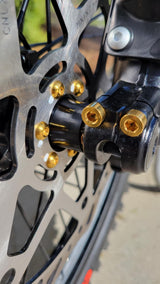 Titanium Altis Sigma Front Fork Bolt Kit