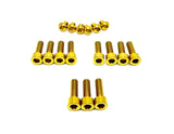 Titanium Altis Sigma Front Fork Bolt Kit