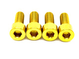 Titanium Bash Guard/ Skid Plate Bolts - Surron LBX & E-Ride Pro