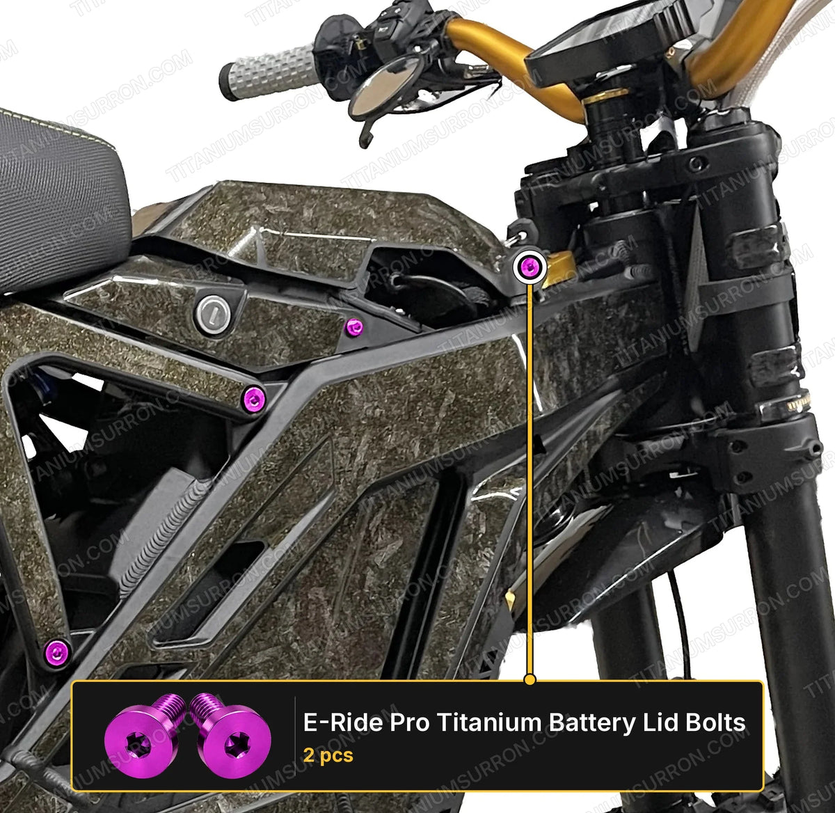 Titanium Battery Lid Bolts - E-Ride Pro -  (Two Pcs)