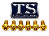Titanium Fork Plastic/Guard Bolts for Most Forks — assorted length comparison