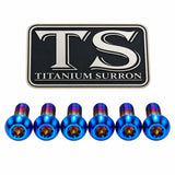 Titanium Fork Plastic/Guard Bolts for Most Forks — full bolt set overview