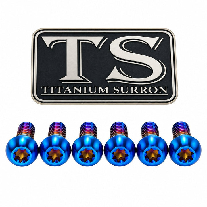 Titanium Fork Plastic/Guard Bolts for Most Forks — full bolt set overview