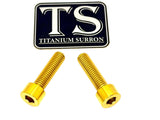 Titanium caliper bolts for Surron Ultra Bee — side profile