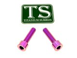 Titanium caliper bolts for Surron Ultra Bee — hardware layout