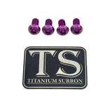 Titanium E-Moto Headlight Mount Bolts