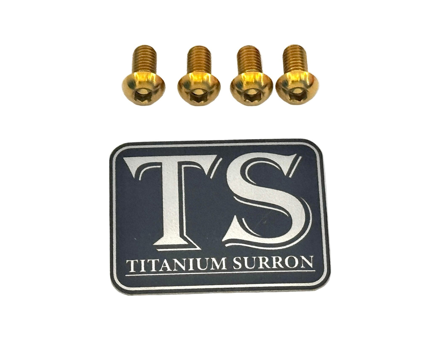 Titanium e-moto headlight mount bolts for E-Ride Pro — close-up