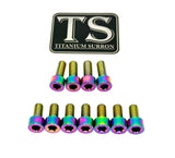 Titanium EXT Ferro Fork Bolt Kits