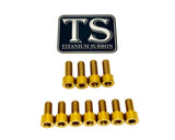 Titanium EXT Ferro Fork Bolt Kits