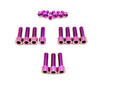 Titanium FastAce Fork Bolt Kits (All Models)