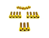 Titanium FastAce Fork Bolt Kits (All Models)