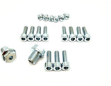 Titanium FastAce Fork Bolt Kits (All Models)
