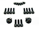 Titanium FastAce Fork Bolt Kits (All Models)