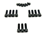 Titanium FastAce Fork Bolt Kits (All Models)