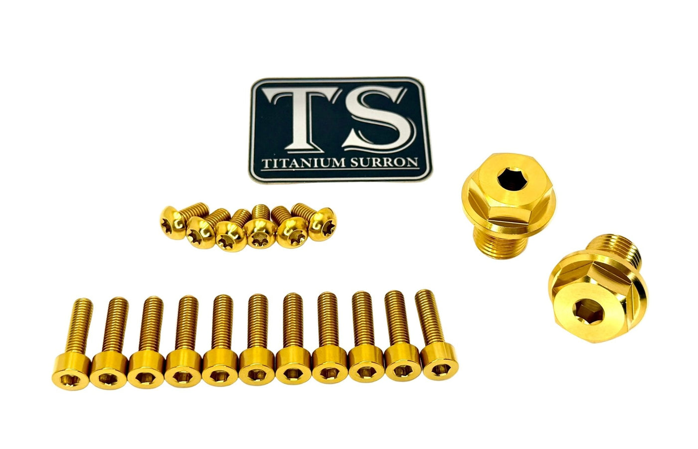 Titanium FastAce Fork Bolt Kits (All Models)