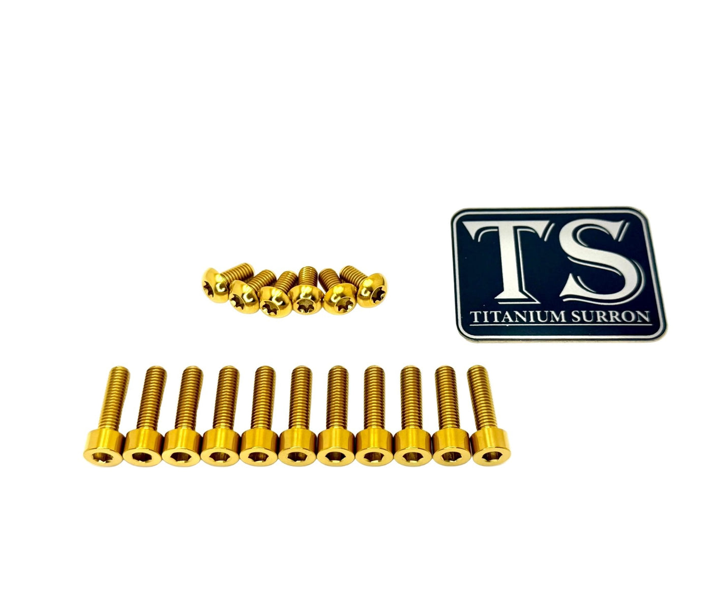 Titanium FastAce Fork Bolt Kits (All Models)