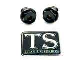 Titanium FastAce Forks Axle Bolts