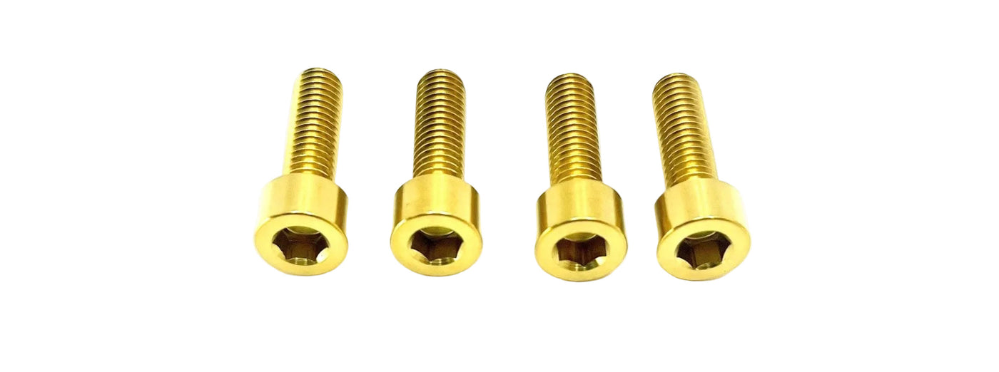 Formula E-Moto Brake Handle-Mount Titanium Bolts