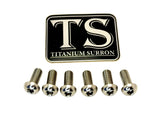 Titanium Front Rotor Bolts - E-Moto