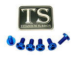 Titanium Front Rotor Bolts - E-Moto