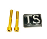 Titanium Hardware for E-moto Shift Locks (LBX, XXX, ERP, Ultra Bee)