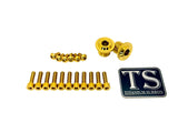 Titanium KKE Fork Bolt Kit for Surron LBX — bolt set