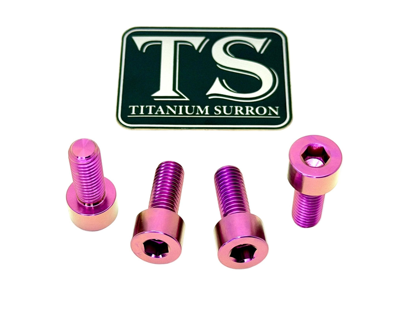 Titanium peg bracket bolts for E-Ride Pro — hardware layout