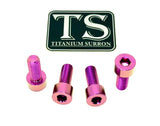 Titanium peg bracket bolts for E-Ride Pro — hardware layout