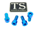 Titanium Peg Bracket Bolts - E-moto