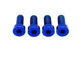 Titanium Seat/ Subframe Bolts for E-moto