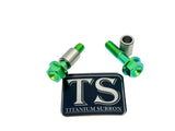 Titanium Triangle Bolts - Surron LBX/ Segway/ Ventus