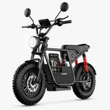 Windhorse D1