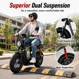 Windhorse D1